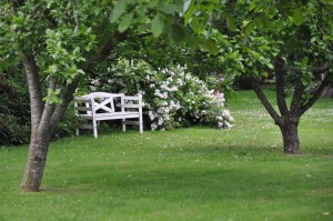 Tantra and Yoga Summercamp 2018