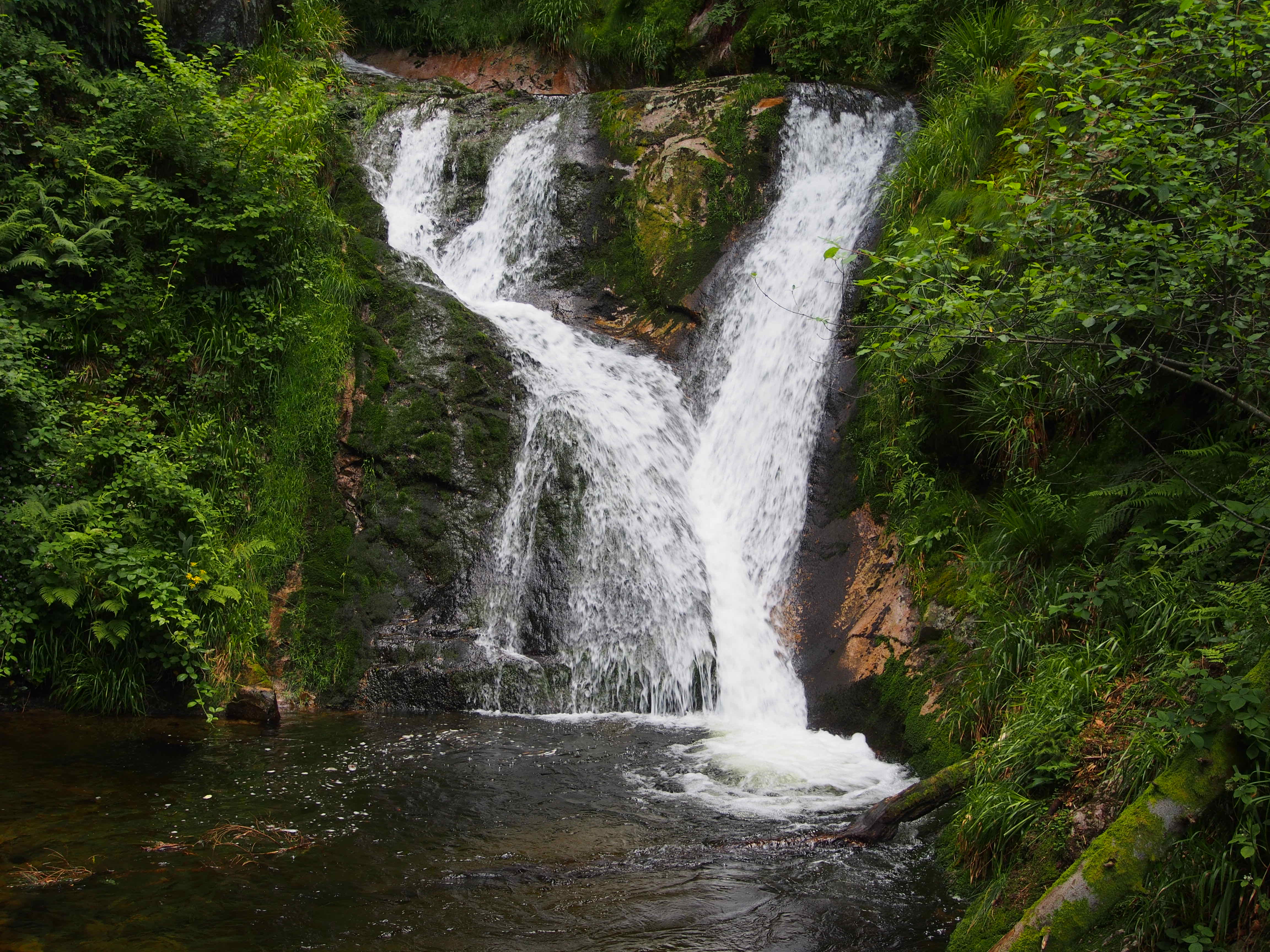 manglende lyst