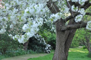 natur