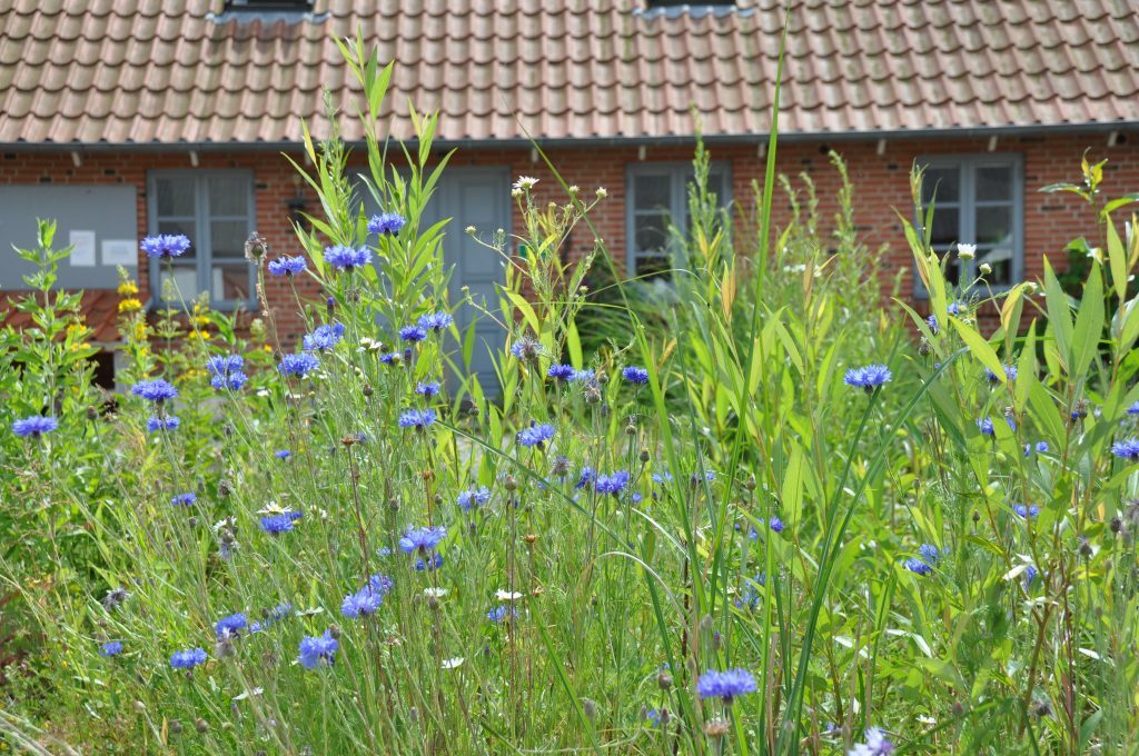 intre-weekend på Mahamudrainstitut