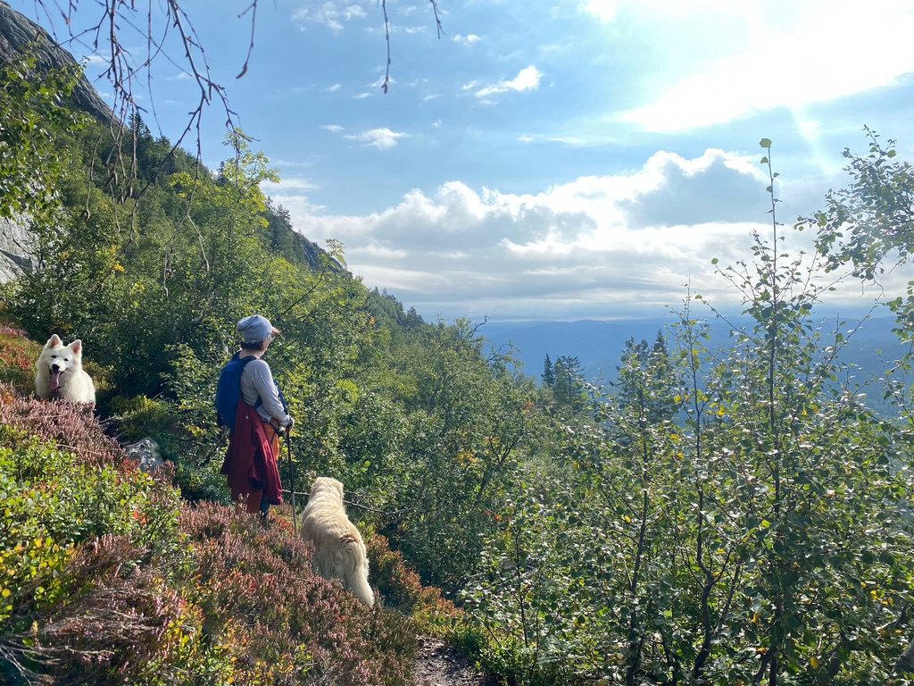 at stå til tjeneste for