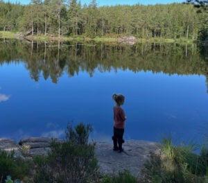 systemisk uddannelse