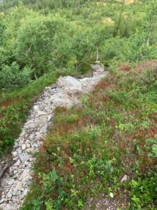 psykoterapeutisk udviklingsvej