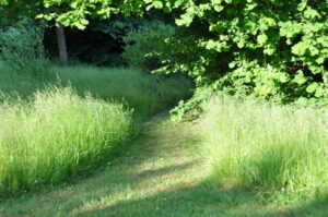 at anerkende