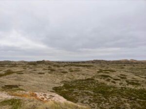 skyld og skyldfølelse