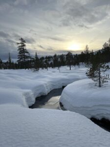 værktøjer