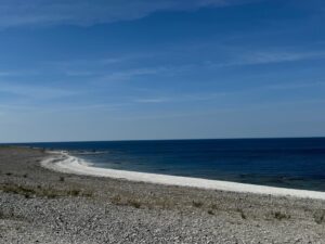Spejling
