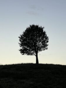 sit autentiske selv